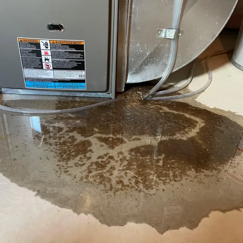 Appliance Leak Cleanup in Prosser, WA