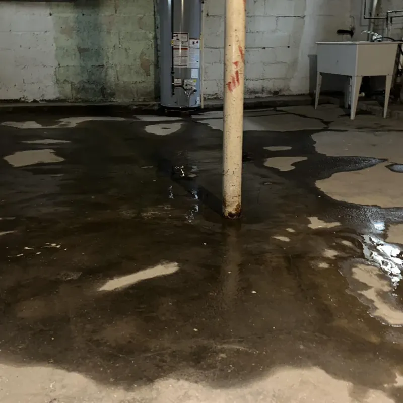 Emergency Water Extraction And Removal in Prosser, WA